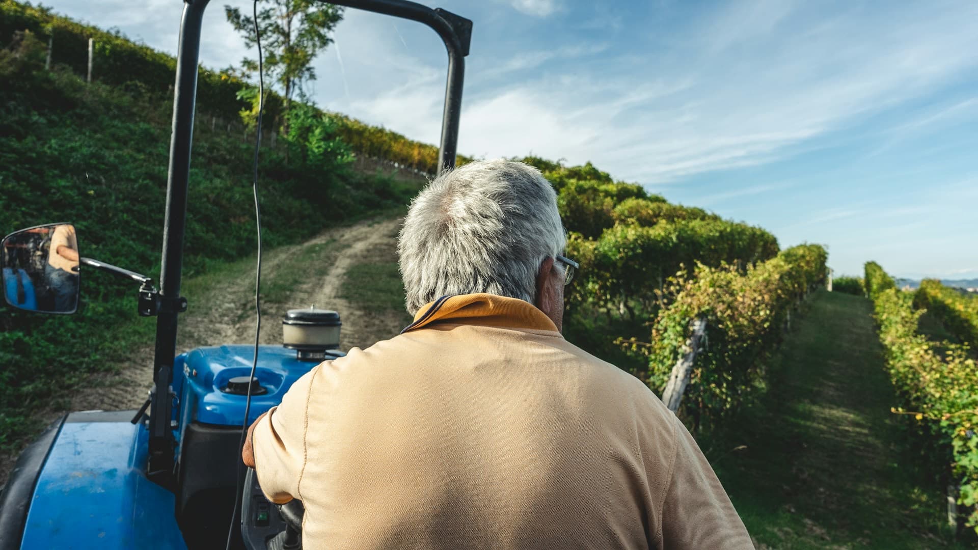 Produtor rural conduzindo um trator entre as fileiras da plantação